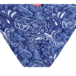 Blue Bandana Full Coverage Scrunch Bottom 8 Blue Bandana Full Coverage Scrunch Bottom -Doll Bikini Shop 40007 BOTTOM FLAT BACK 3415 scaled